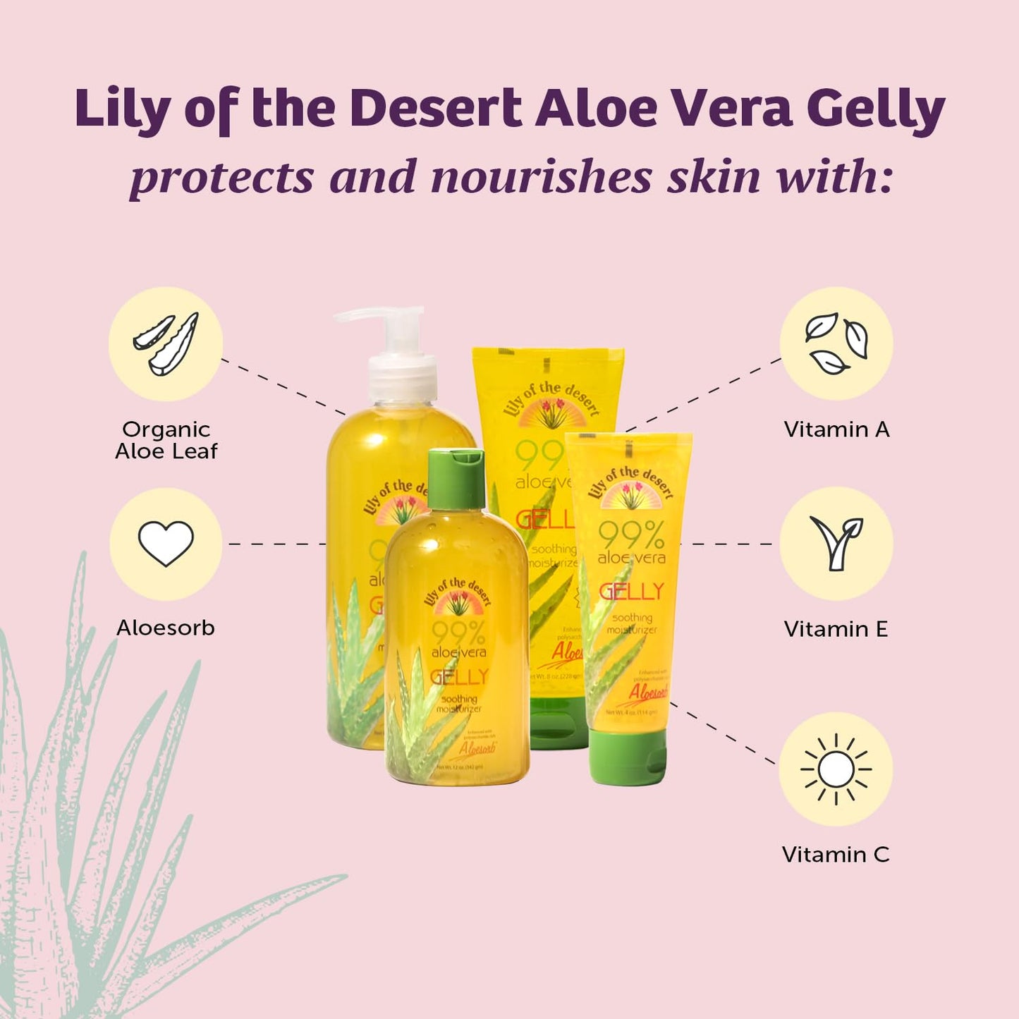Lily Of The Desert Gelly Moisturizer - 99% Organic Aloe Vera Gel for Skin, After Sun Care with Aloe, Vitamin E Oil, and Vitamin C for Sunburn Relief Beauty & Personal Care Lily Of The Desert