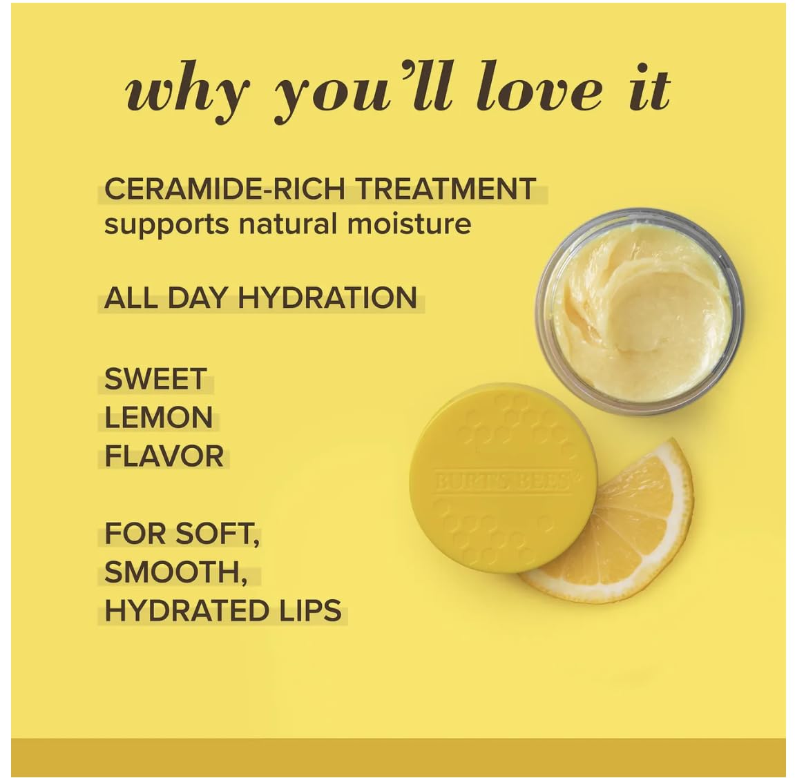 Burt's Bees 100% Natural Origin Lip Treatment with Sea Minerals Sweet Mint (Lemon Sorbet) - Hydrating, Moisturizing, Nourishing, Uplifting Lip Balm Beauty & Personal Care Burt's Bees