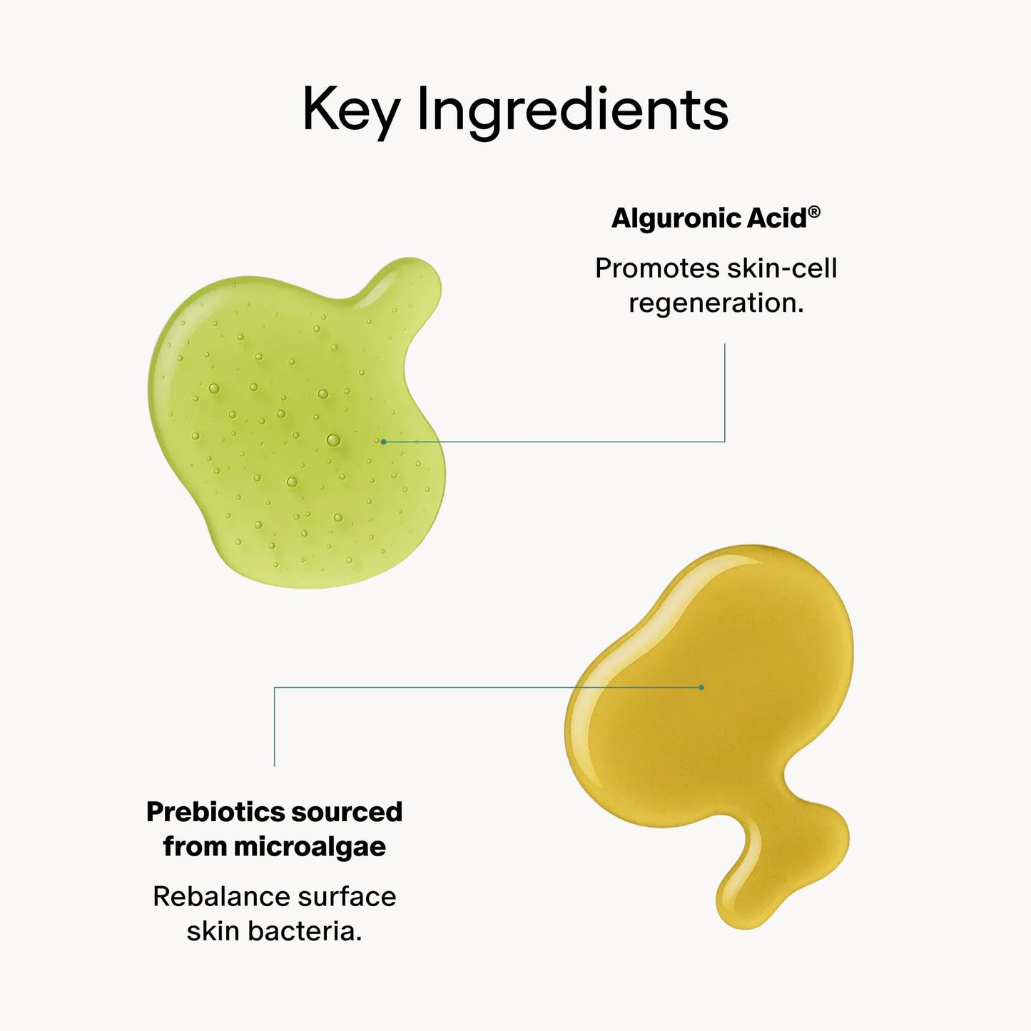 Algenist ALIVE Prebiotic Balancing Moisturizer SPF15 - Moisturizing Mineral Sunscreen for Face, Neck & Chest with Prebiotics & Probiotics - Zinc Oxide Beauty & Personal Care Algenist