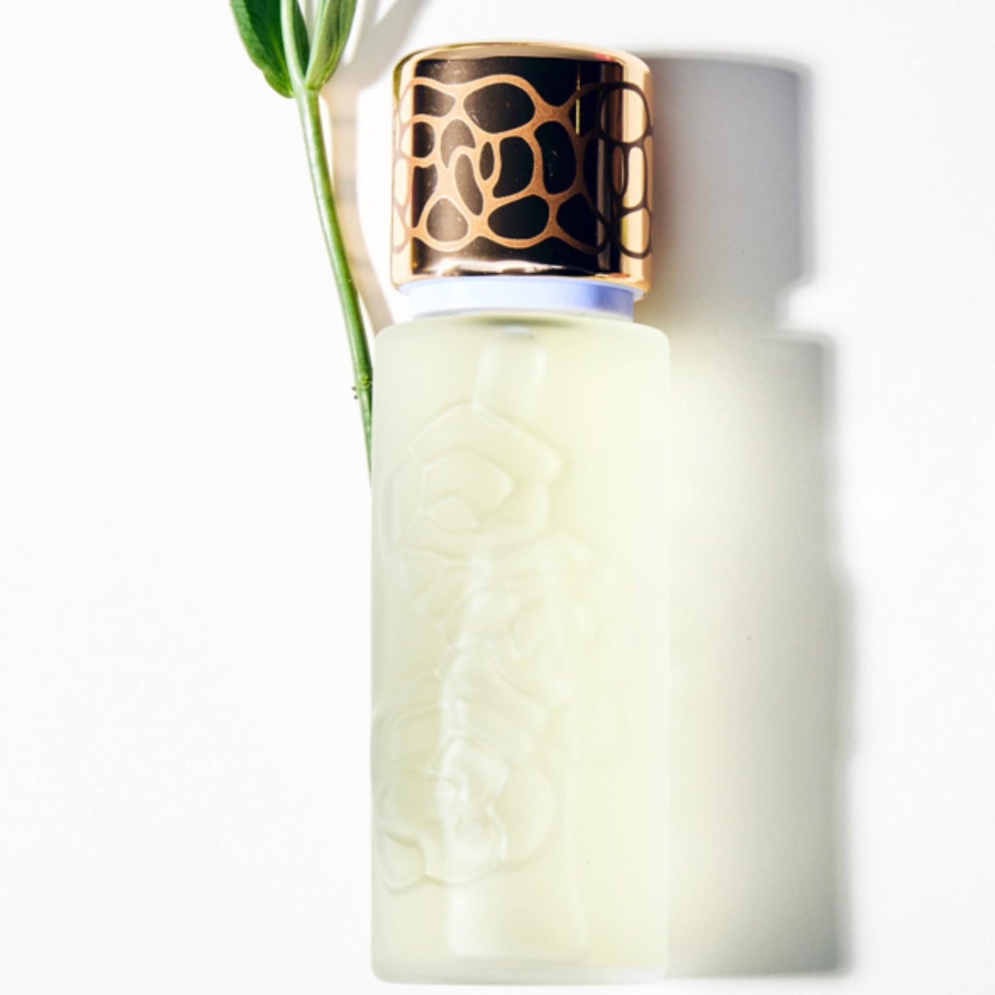 Houbigant, Quelques Fleurs L'Original Eau de Parfum, 30ml Beauty & Personal Care Houbigant