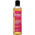 Mielle Babassu Conditioning Shampoo, 8 fluid ounces Beauty & Personal Care Mielle Organics