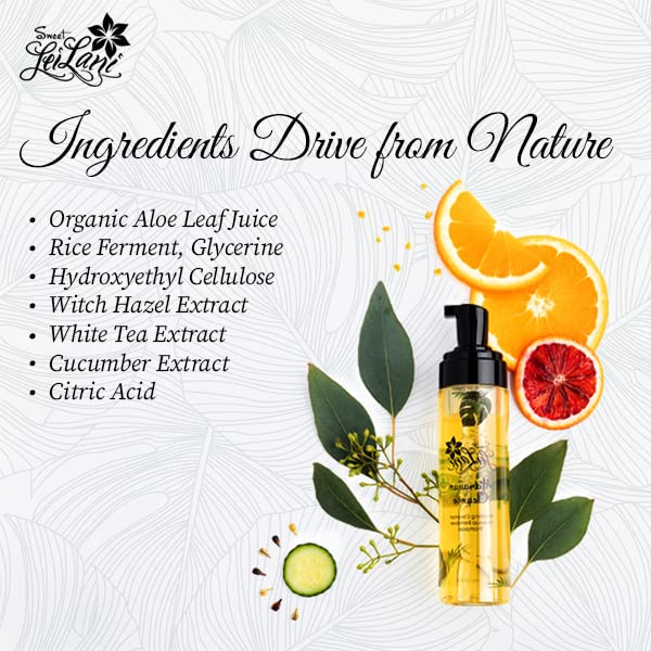 Sweet LeiLani Hawaiian Hydrating Foaming Facial Cleanser, Body Wash, Makeup Remover, Shampoo, Makeup Brush Cleaner | Multi Purpose Cleanser Beauty & Personal Care SWEET LEILANI