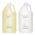 GIOVANNI Eco Chic Smooth as Silk Deep Moisture Shampoo & Conditioner Set - Aloe Extract, Calms Frizz, Detangles, Lauryl & Laureth Sulfate Free Beauty & Personal Care GIOVANNI