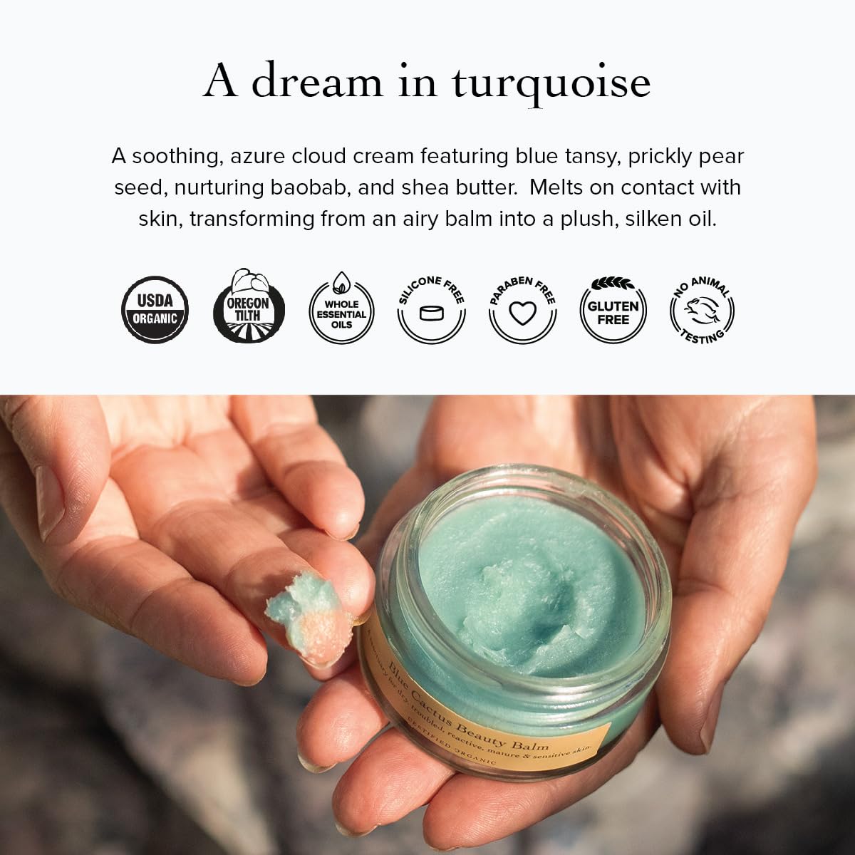 evanhealy Blue Cactus Beauty Balm - Organic Prickly Pear & Blue Tansy Flower - Soothing, Calming, Moisture Balm for All Skin Beauty and Personal Care evanhealy
