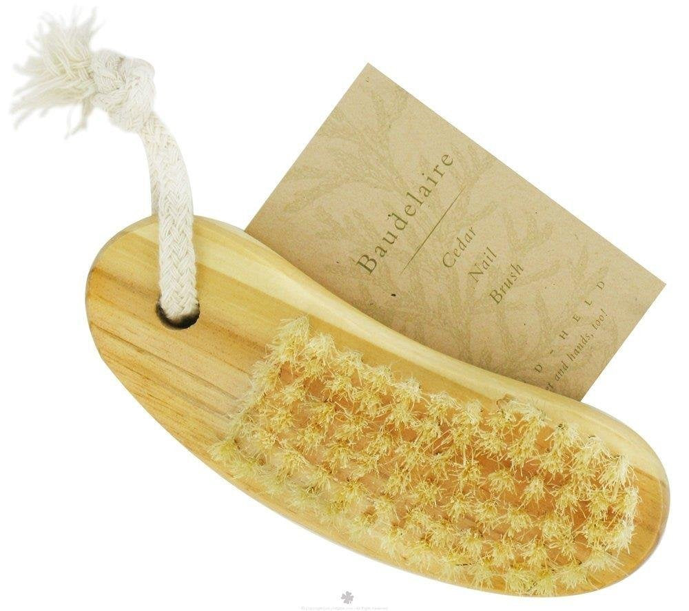 Baudelaire, Nail Brush Cedar, 1 Count Beauty and Personal Care Baudelaire