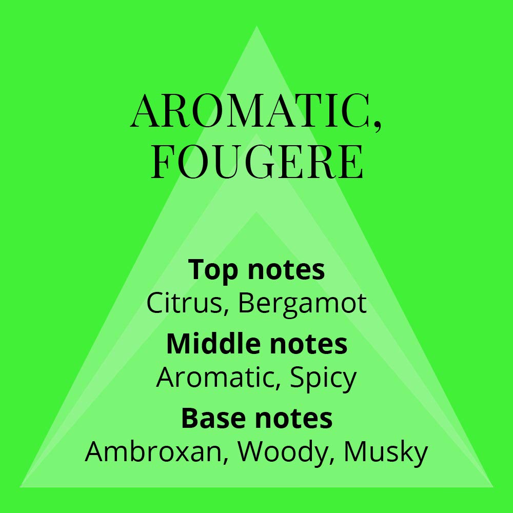 COLOUR ME Milton-Lloyd Volt - Cologne for Men - Aromatic Fougere Fragrances - Mens Cologne - Long Lasting Perfume for Men - Eau de Parfum - 3 oz Beauty & Personal Care COLOUR ME
