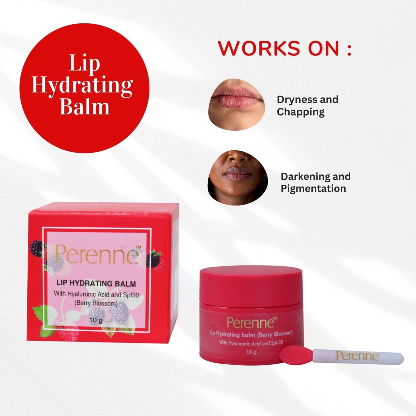 Perenne Lip Hydrating balm For (Berry blossom) With Hyaluronic acid and SPF (10 gm) Beauty and Personal Care Perenne
