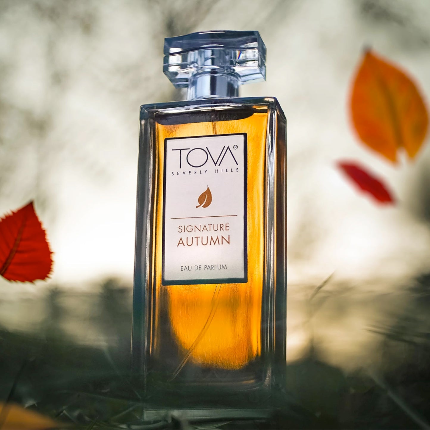 Tova Signature Autumn Eau de Parfum - Crisp Floral Amber Perfume for Women - Peony, Iris & Vanilla Orchid - USA-Made & Cruelty-Free - 3.4 fl oz Beauty & Personal Care Tova