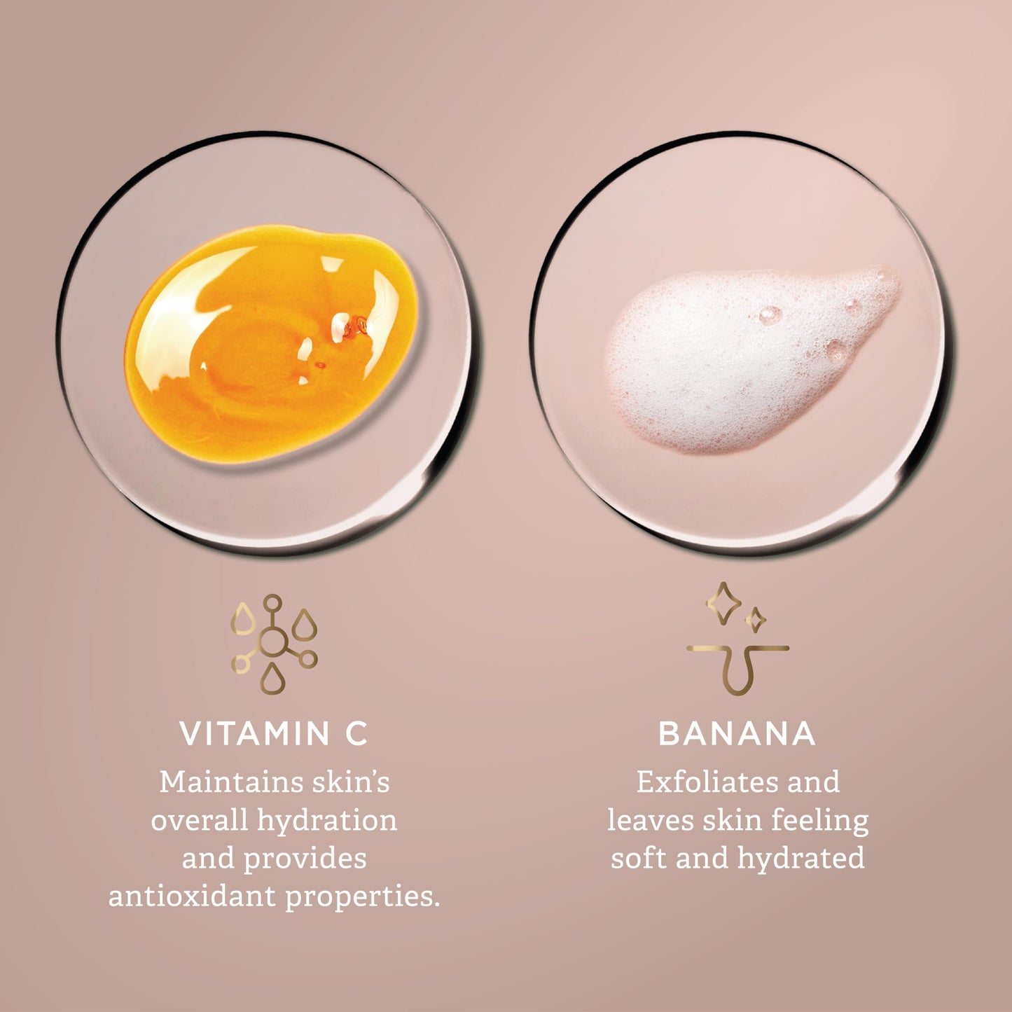 Findley Vitamin C & Banana Brightening Eye Serum - Targets Fine Lines & Dark Circles, Hydrating & Nourishing Formula, Anti-Aging (1 Fl Oz) Beauty & Personal Care Findley
