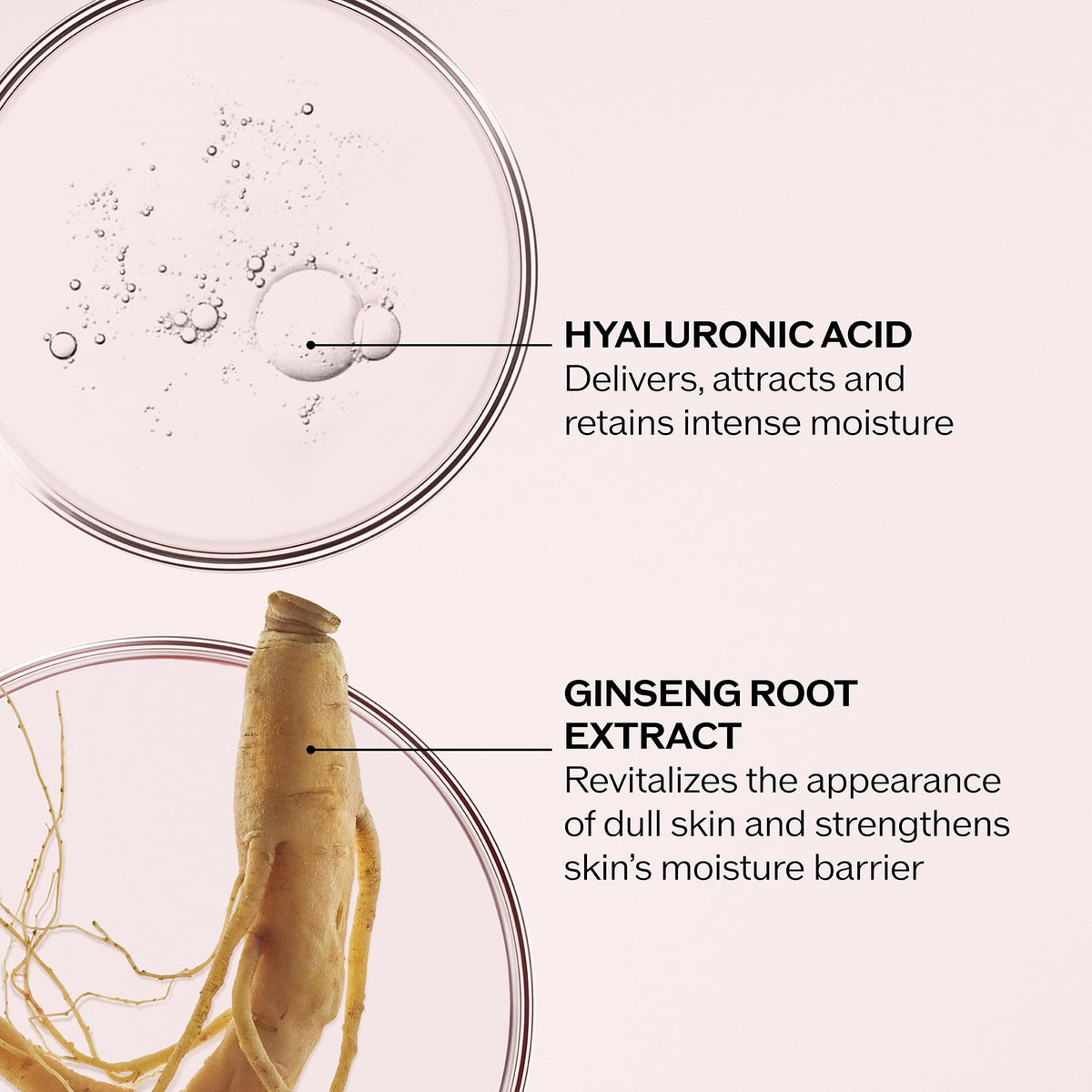 Shiseido Essential Energy Hydrating Cream - 50 mL - Visibly Reduces the Look of Pores & Fine Lines - With Hyaluronic Acid - 24-Hour Hydration - Vegan