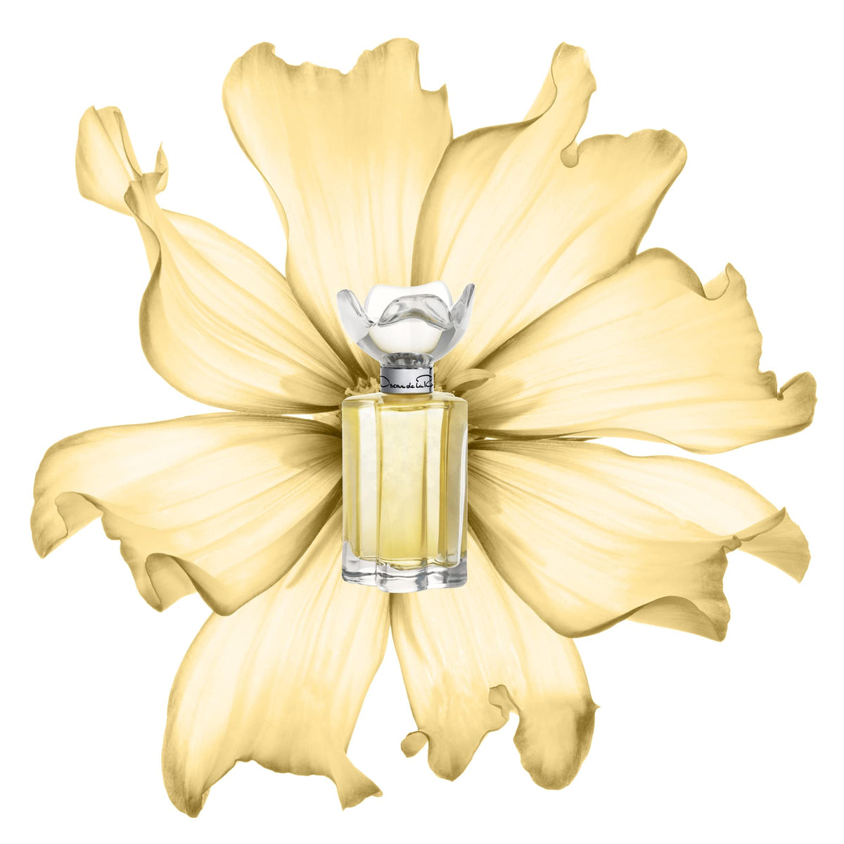 Oscar de la Renta Esprit D'Oscar Eau de Parfum Perfume Spray for Women, 3.4 Fl. Oz. Beauty & Personal Care Oscar de la Renta