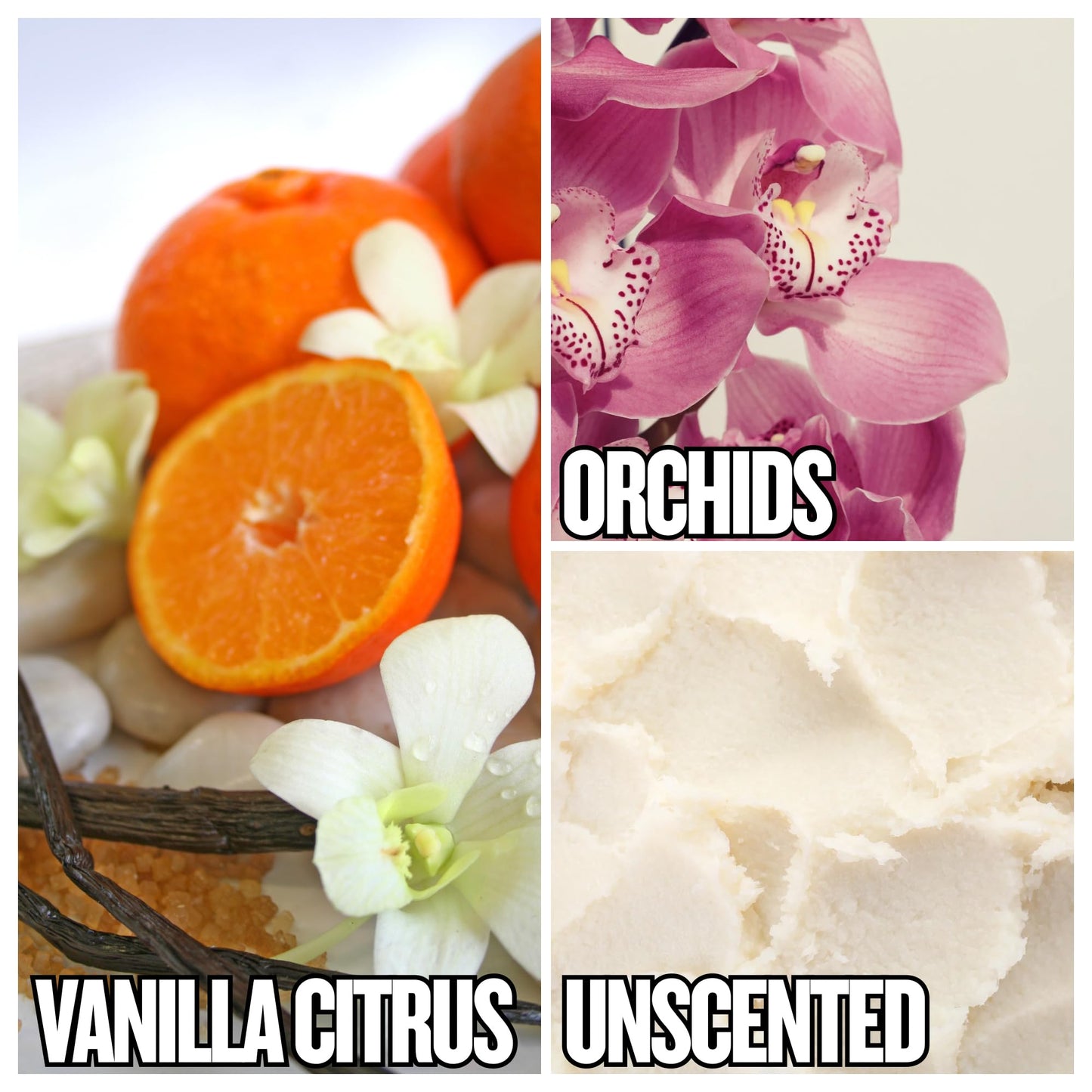 G.B.S Women’s Shaving Soap 3 Pack - Shea Butter Infused Fragrance-Free, Orchid, and Vanilla Citrus - Moisturizing Bar for Sensitive Skin Beauty and Personal Care G.B.S