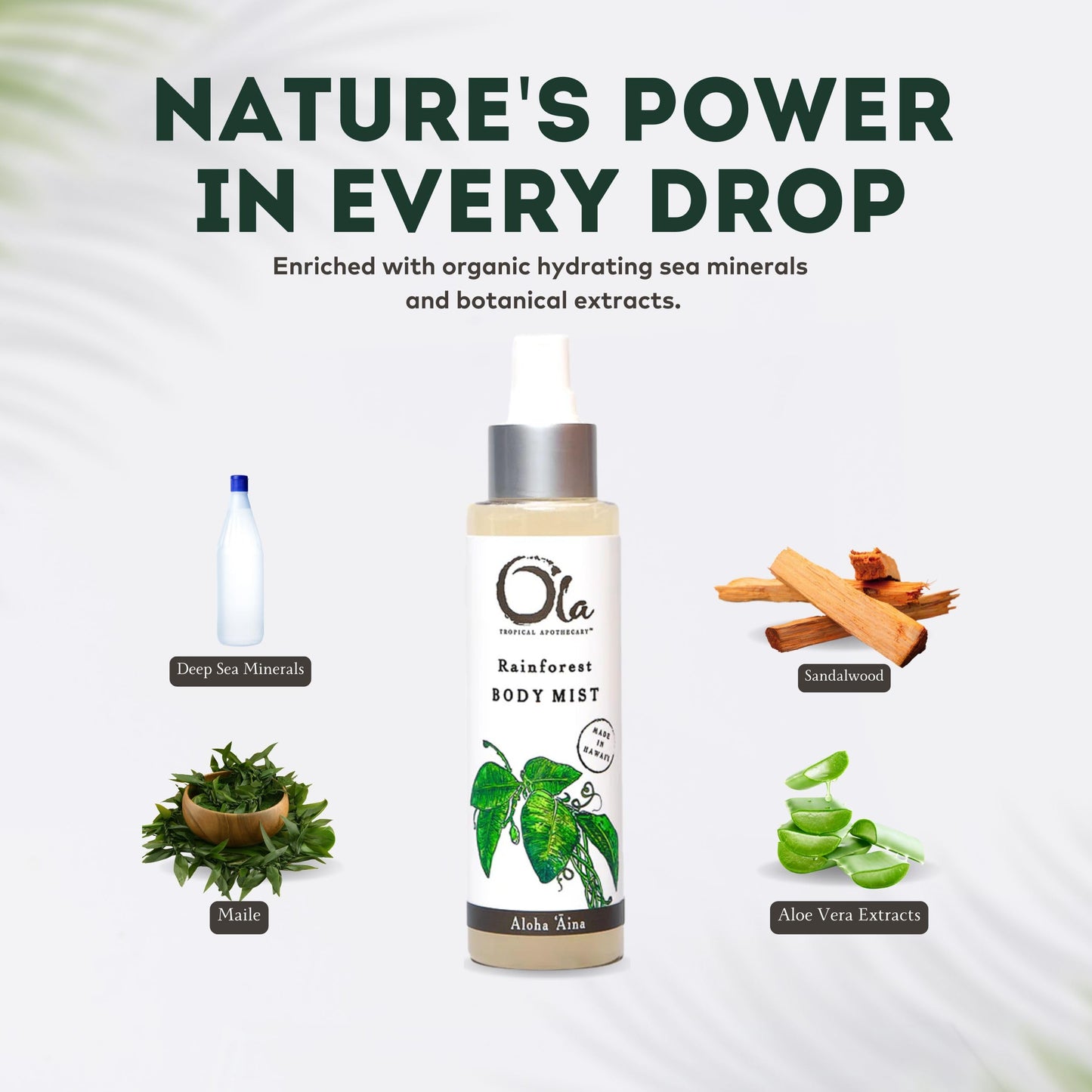 Tropical Apothecary Ola Rainforest Scented Deep Sea Mist - 2 Fl Oz Beauty & Personal Care Tropical Apothecary