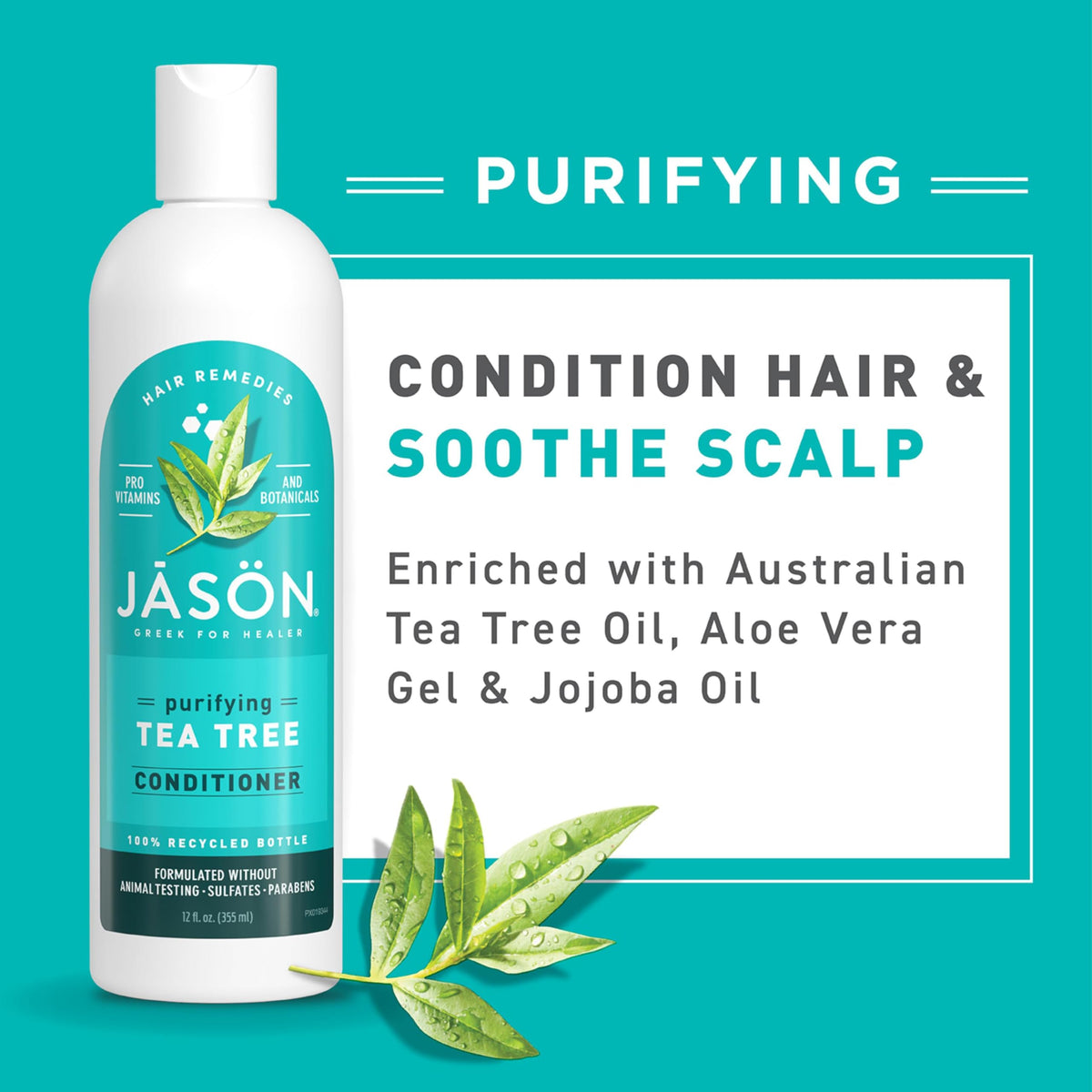 Jason Tea Tree Conditioner 12 oz Beauty & Personal Care JASON
