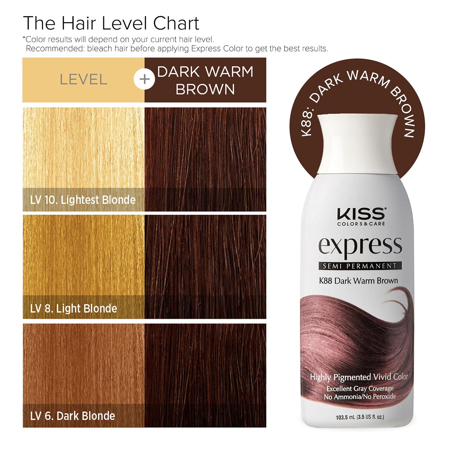 Kiss Express Semi-Permanent Hair Color 100mL (3.5 US fl.oz) (1 PACK, Dark Warm Brown) Beauty & Personal Care KISS
