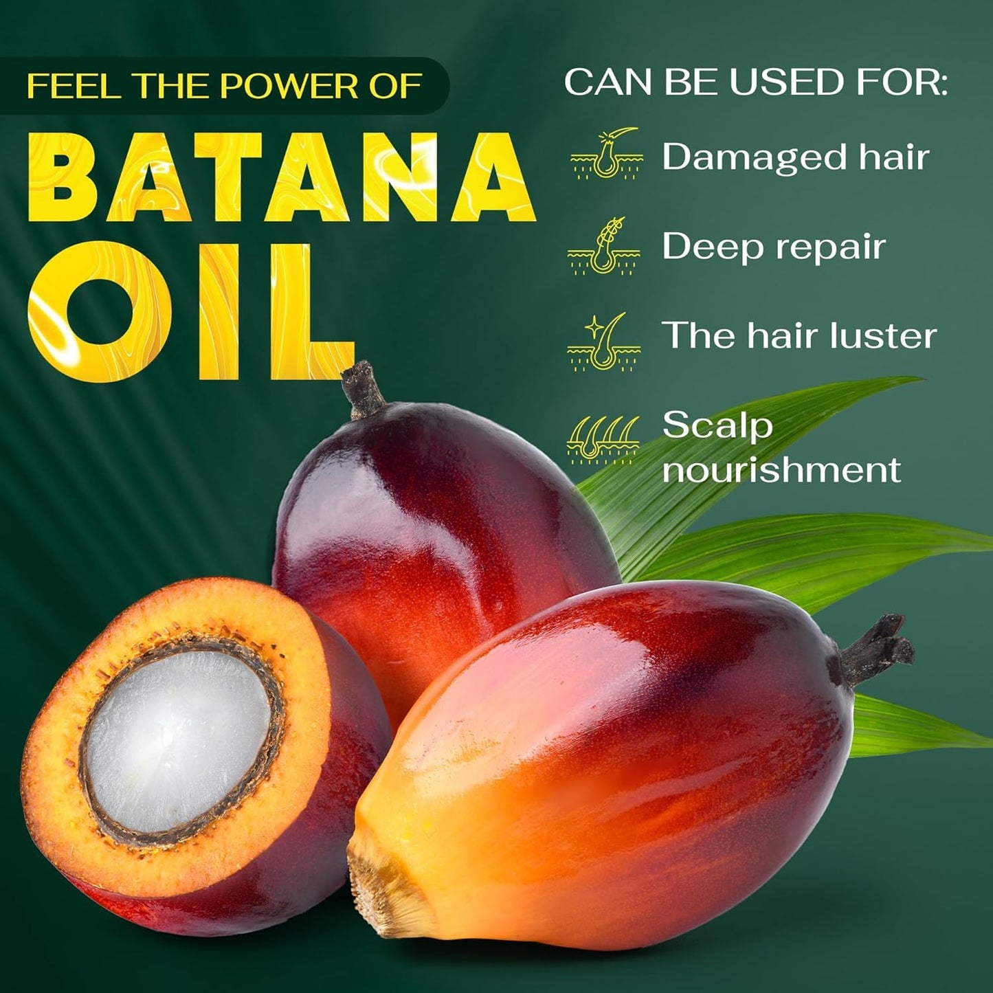 BRIGHTJUNGLE Raw Batana Oil for Hair Growth - Hair & Scalp Oil for Thickness & Shine - Men & Women - 100% Pure, Organic, Cold-Pressed 5.3oz (150g) Beauty & Personal Care BRIGHTJUNGLE