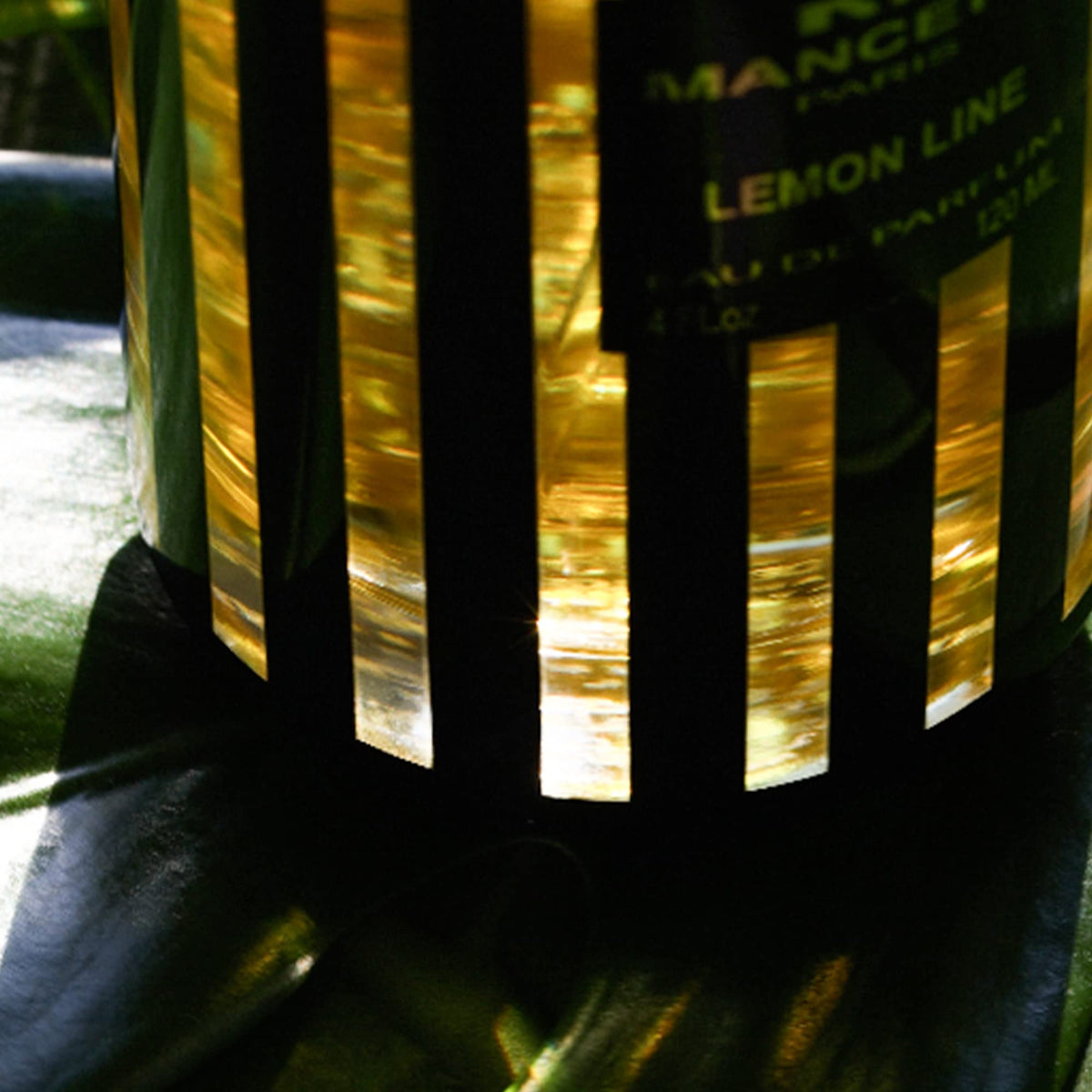 MANCERA Eau de Parfum Spray, Lemon Line, 4 Fl Oz Beauty & Personal Care MANCERA