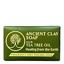 Ancient Clay Soap with Tea Tree Oil Zion Health 6 oz Bar Soap Beauty & Personal Care Zion Health