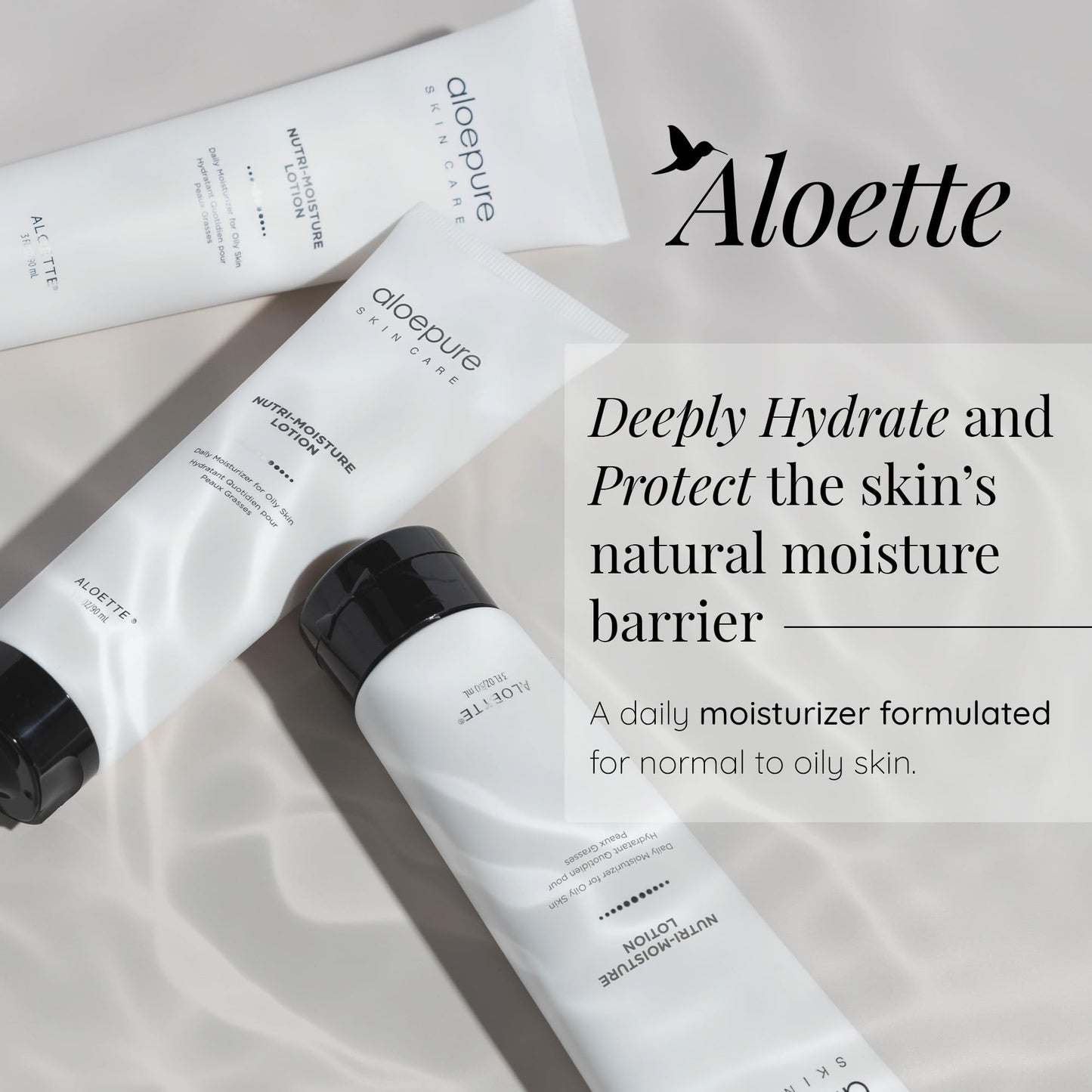 Aloette Facial Moisturizer for Oily & Irritable Skin, Nutri Moisture Lotion - Lightweight Daily Moisturizer for Uneven Skin Tone, Breakouts & Acne Beauty & Personal Care Aloette