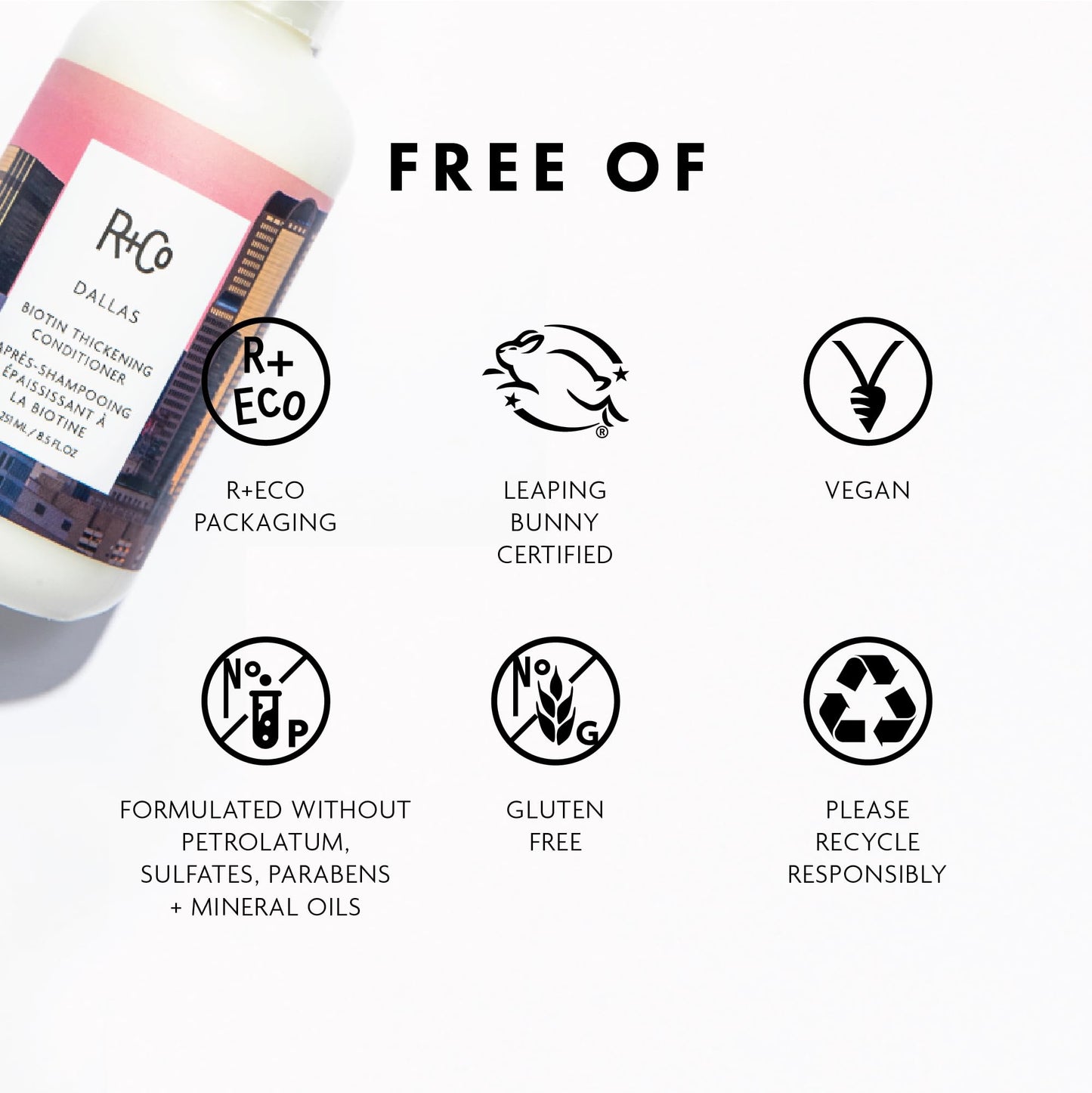 R+Co Dallas Biotin Thickening Conditioner | Weightless Hydration, Strengthens + Enhances Shine | Vegan + Cruelty-Free | 8.5 Oz Beauty & Personal Care R+Co
