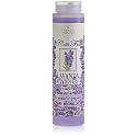 Nesti Dante dei Colli Lavanda Shower Gel, 300 ml Beauty & Personal Care Nesti Dante