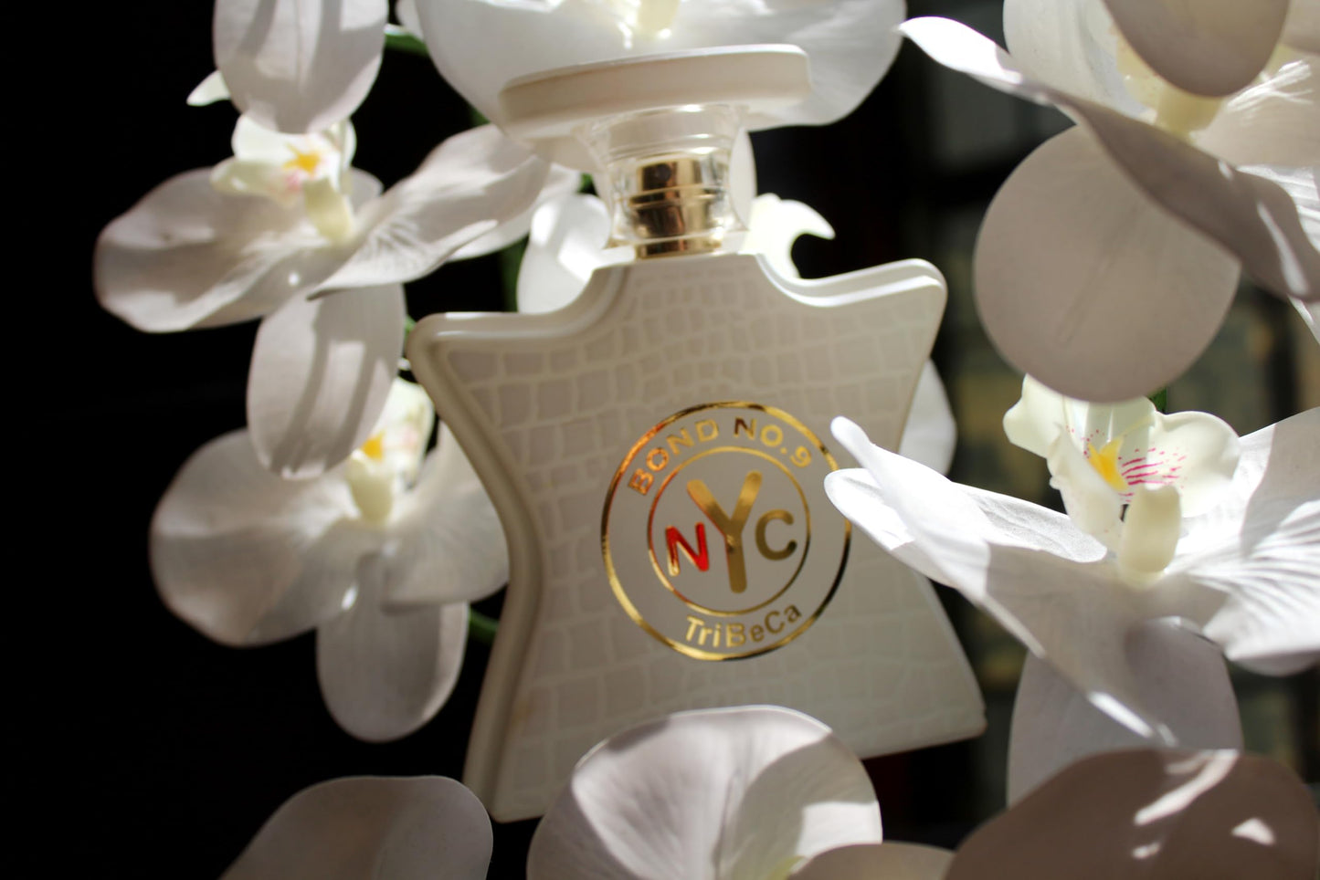Bond No. 9 NYC Tribeca for Unisex Eau De Parfum Spray, 100ml Beauty & Personal Care Bond No. 9