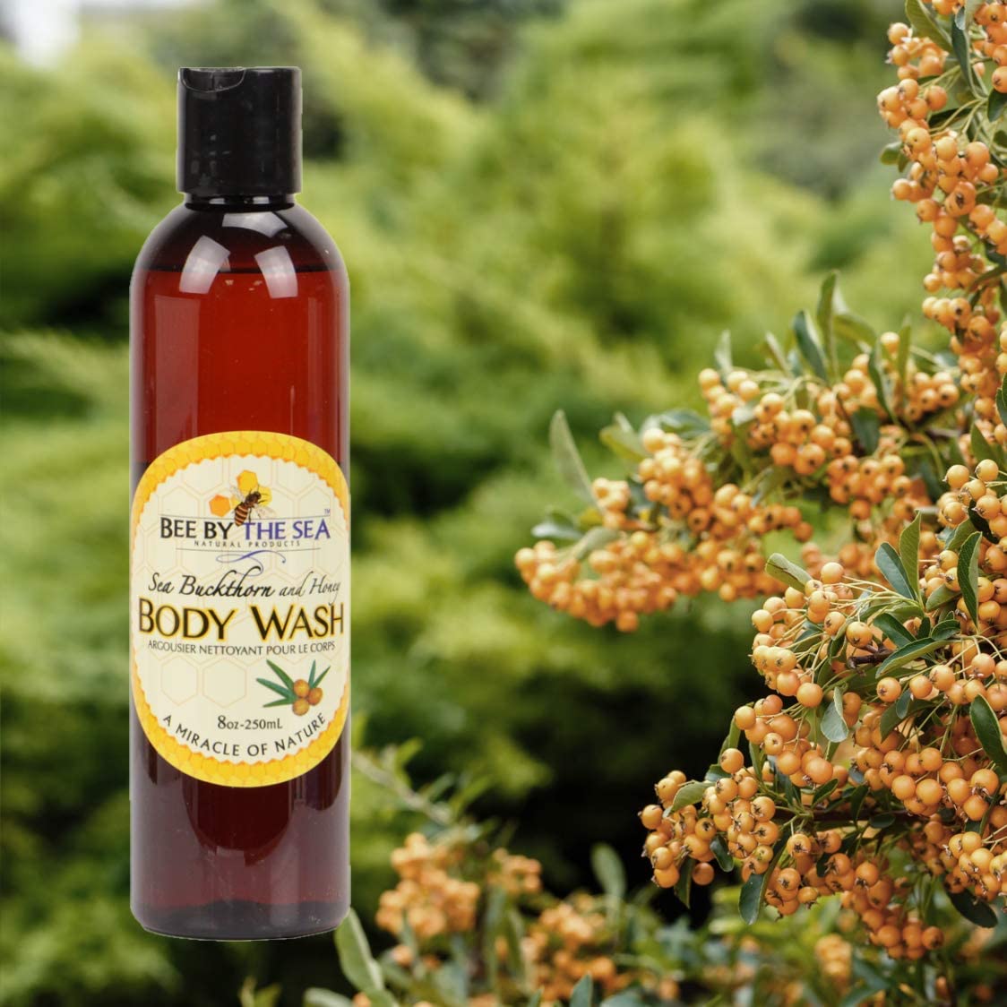 Bee By The Sea Buckthorn and Honey Naturally Scented Body Wash for All Skin Types 8 Ounces Beauty & Personal Care Bee by the Sea