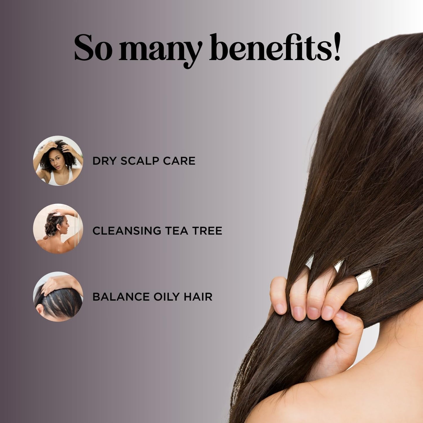 Tea Tree Shampoo for Oily Hair - Paraben and Sulfate Free Clarifying Shampoo for Build Up and Dry Scalp with Tea Tree Oil for Hair - Purifying Beauty & Personal Care Maple Holistics