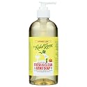 Rebel Green Fresh And Clean Hand Soap Peppermint Lemon, 16.9 FZ Beauty & Personal Care Rebel Green