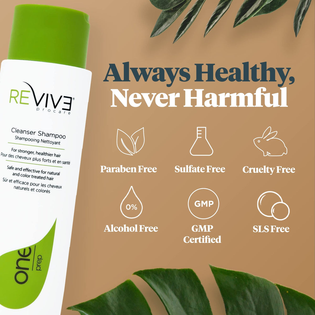 Reviv3 Procare PREP Cleanser Shampoo - Clinically Tested - Hair and Scalp Care Anti-Thinning and Fine Hair Cleansing Shampoo - Color Safe - All Hair Beauty & Personal Care REVIV3 PROCARE