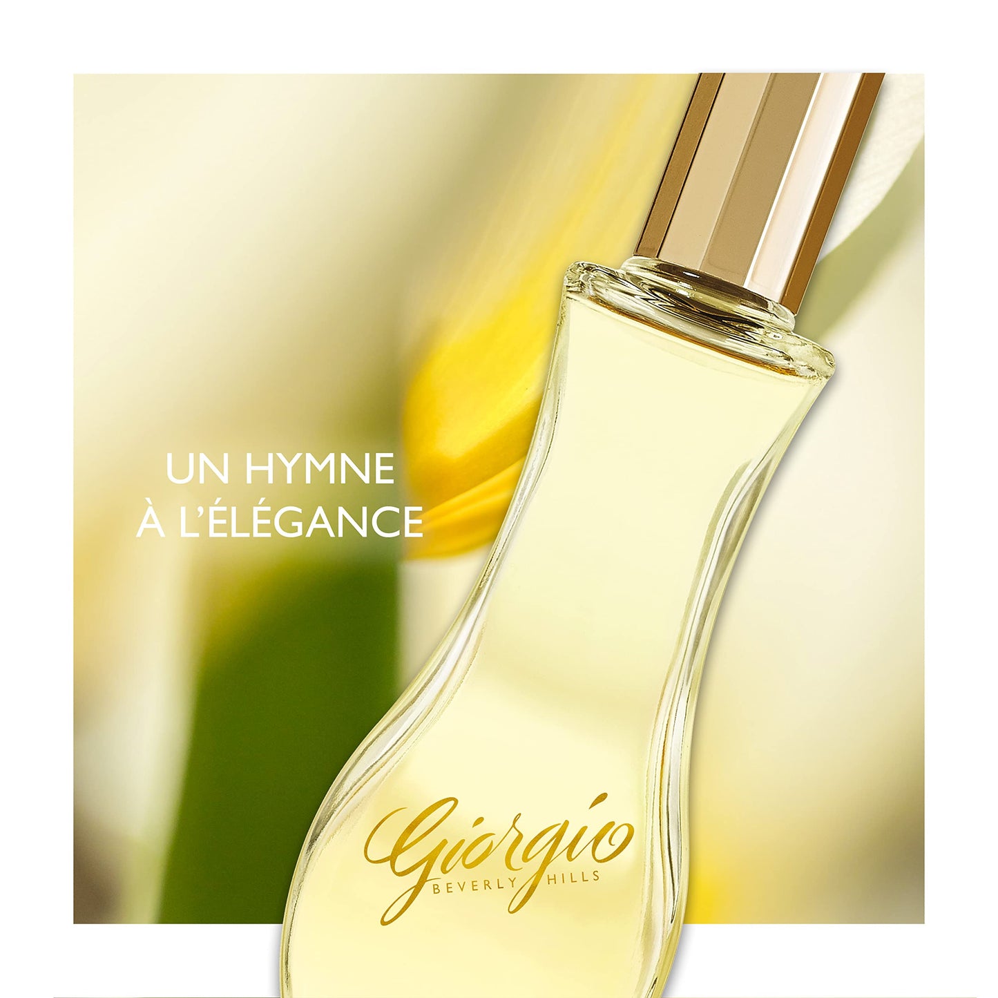 Beverly Giorgio 3.0 EDT + 1.6 Body Lotion Set for Women Beauty & Personal Care GIORGIO BEVERLY HILLS