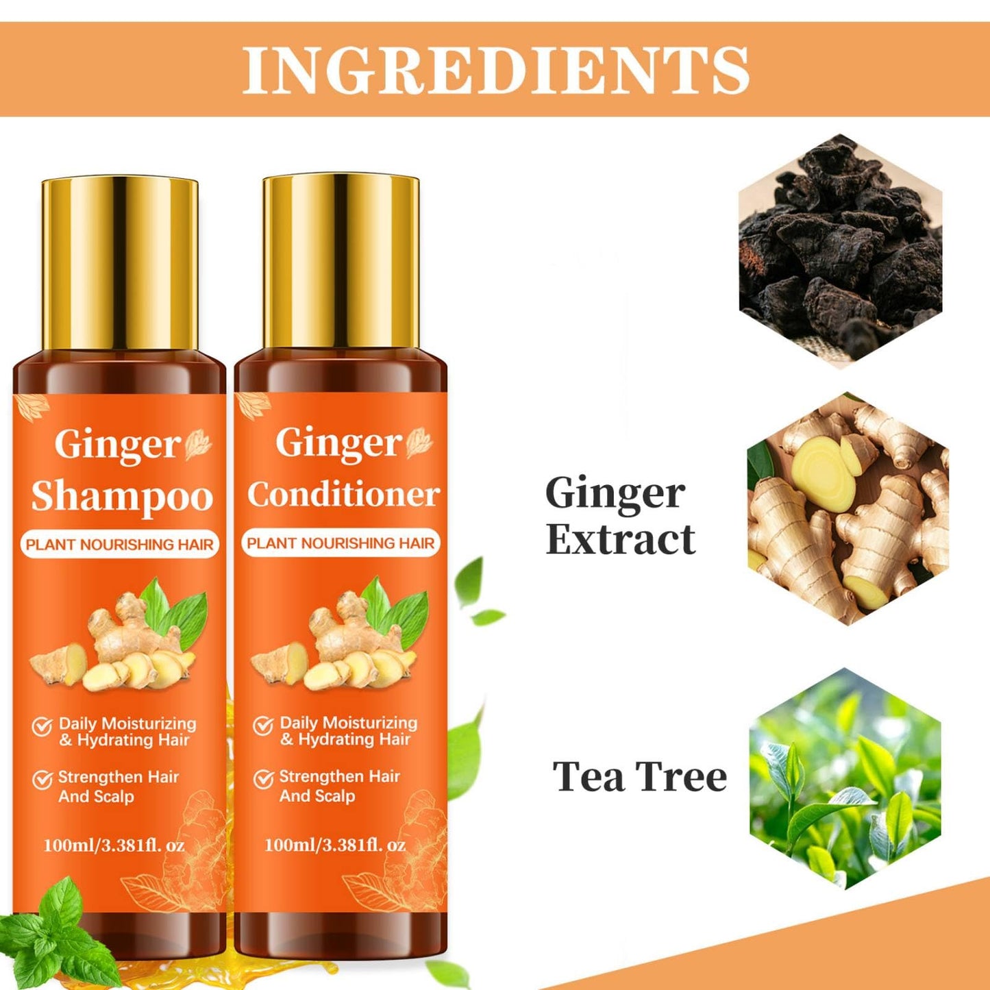 Ginger Shampoo and Conditioner Set for Stronger & Thicker Hair, Deep Moisturizing Cleaning Nourishing Formula to Reduce Hair Loss, Strengthen Strands Beauty & Personal Care Soelegant