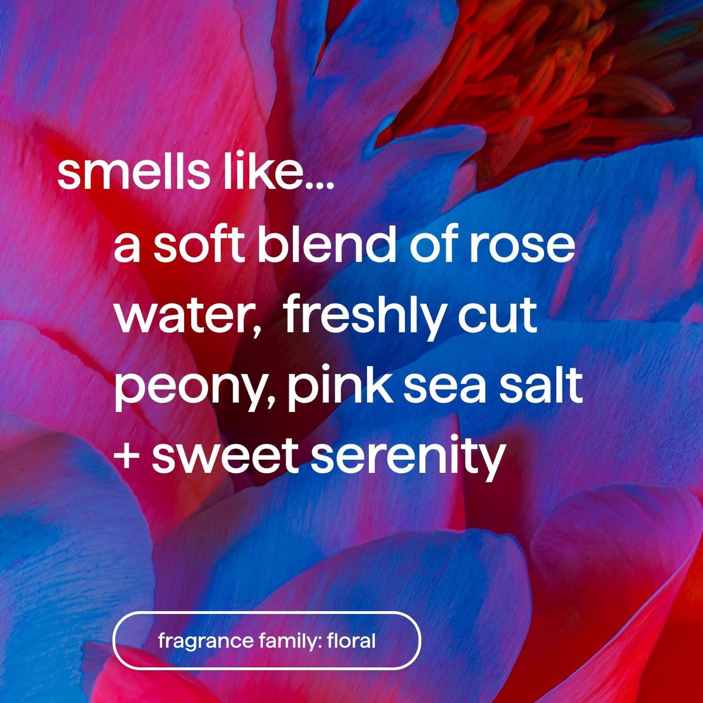Method Bar Soap, Pure Peace, Pure Peace, Rose Water, Peonies + Pink Sea Salt notes, Plastic Free, 2 bars, 5oz each Beauty & Personal Care Method