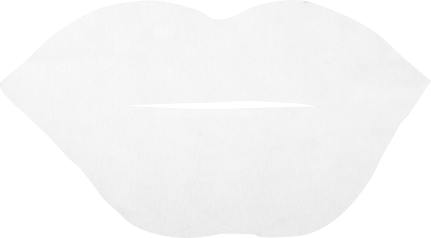 Burt's Bees 100% Natural Moisturizing Lip Mask, Single Use Conditioning Lip Care, 6 Count Beauty and Personal Care Burt's Bees