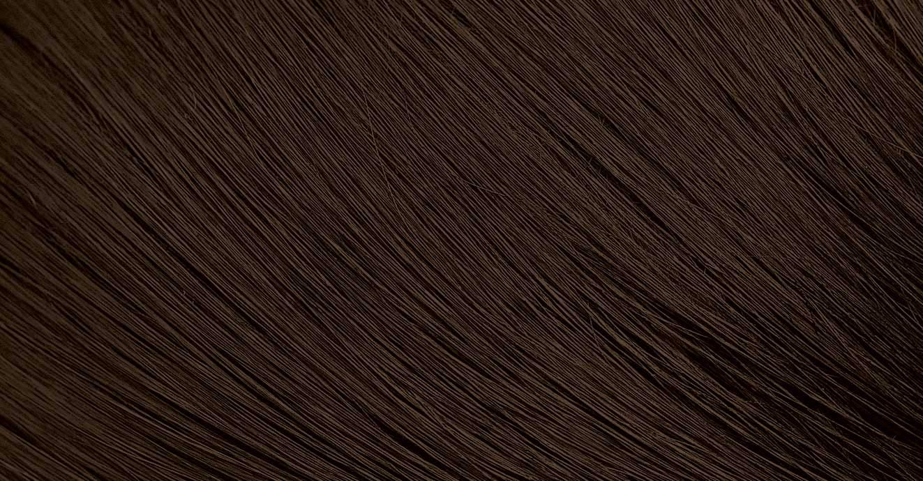 103 Dark Brown Bigen Men's Speedy - 3 Pack Beauty & Personal Care Bigen