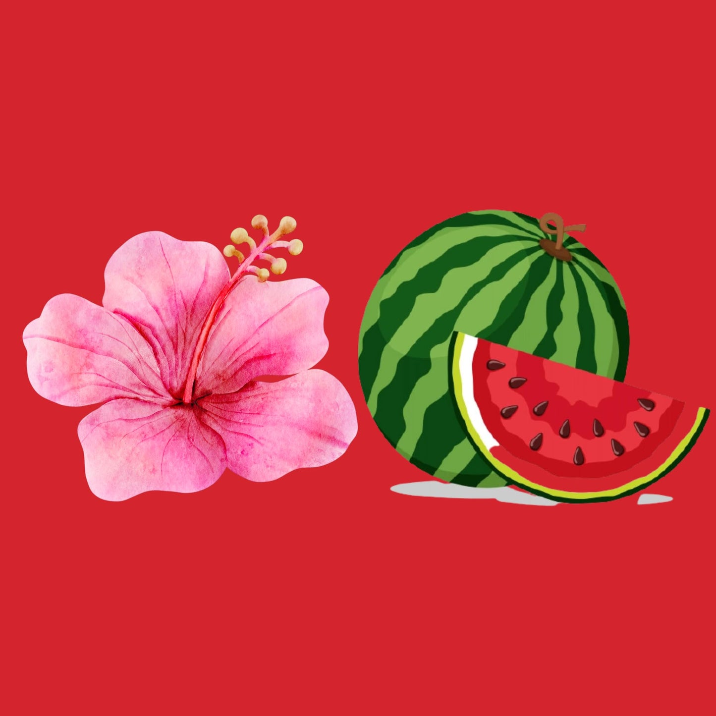 RIVER & ROWE Hibiscus & Watermelon Exfoliating Body Wash - Hydrating Daily Cleanser with Hyaluronic Acid for a Fresh & Comforting Skin Experience Beauty & Personal Care RIVER & ROWE