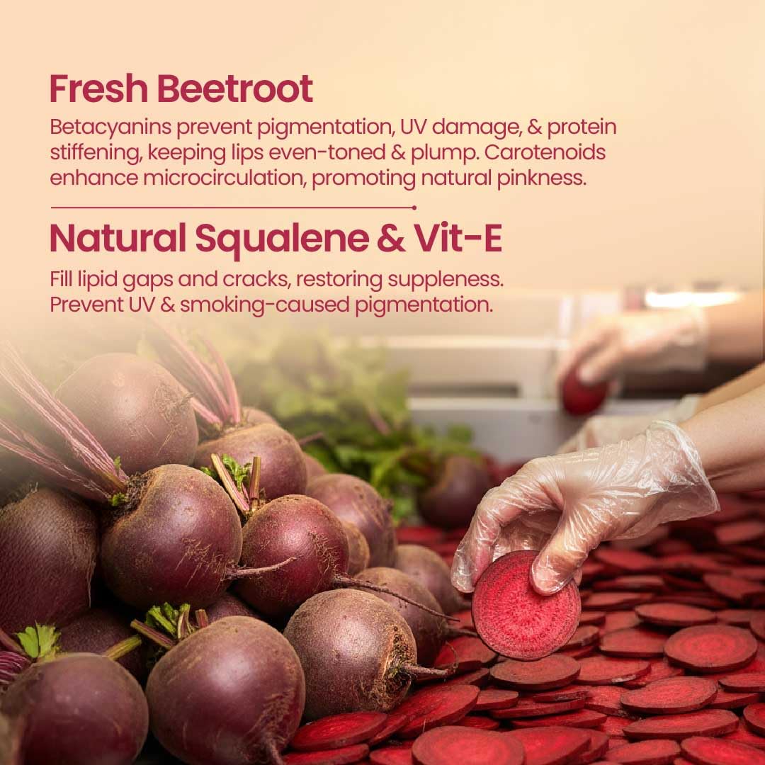 Nat Habit Lip Balm Fresh Beetroot Crush, Lip Butter With Desi Ghee & Raw Honey, For Natural Pink Lips, Nourishment, Pack of 2 x 10g Beauty and Personal Care Nat Habit