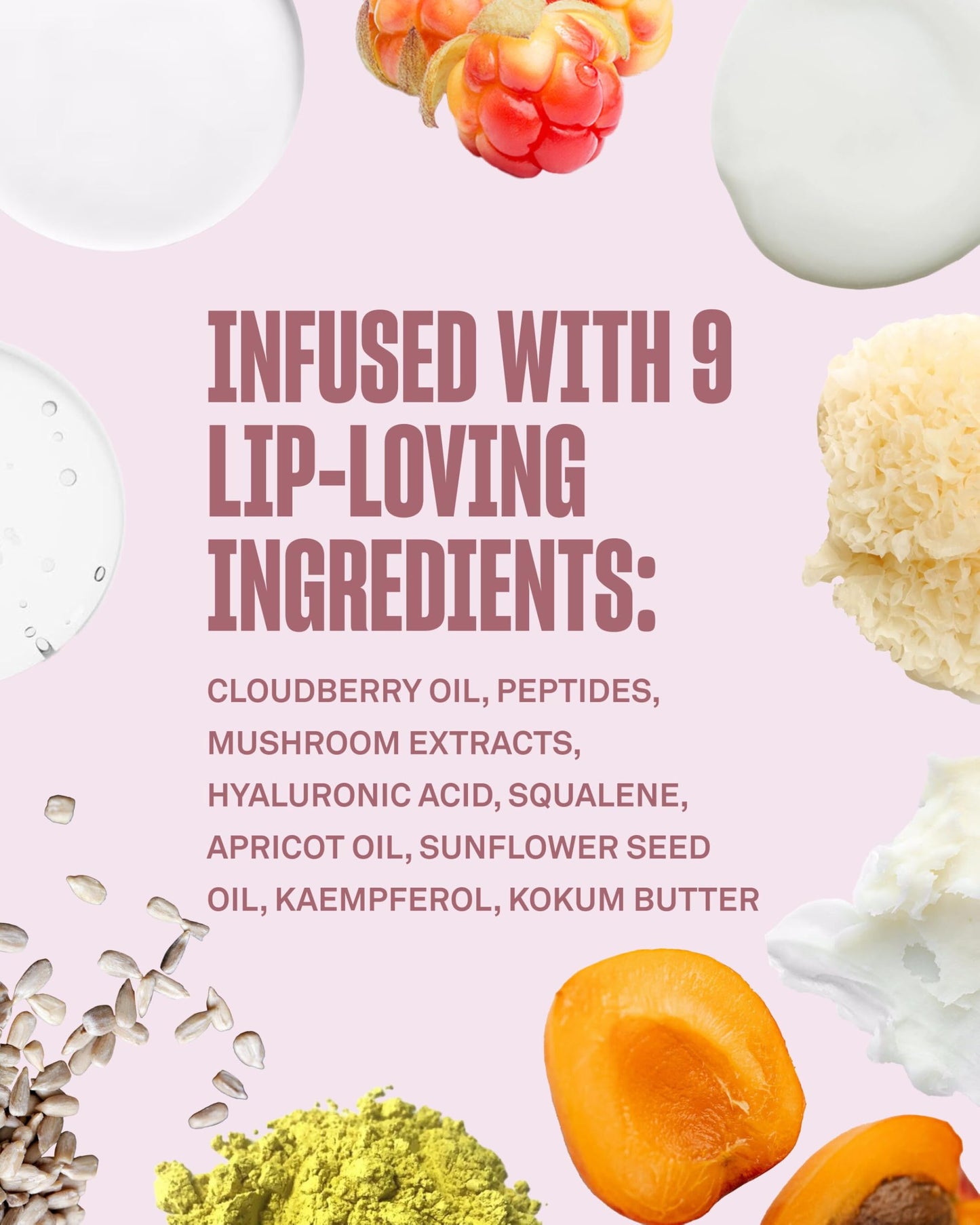 BABE ORIGINAL Cloud 9 Peptide Lip Serum | Daily Lip Treatment with Cloudberry Oil, Mushroom Extracts, Hyaluronic Acid for Dryness & Fine Lines | Beauty & Personal Care BABE ORIGINAL