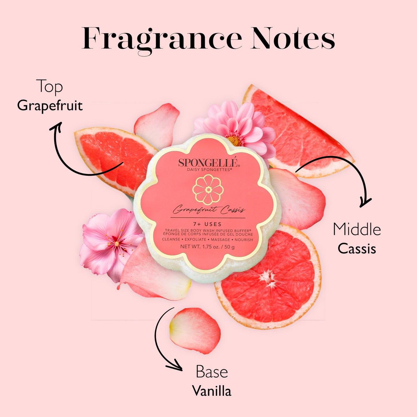 Spongellé Grapefruit Cassis Daisy Spongette Bath Sponge - Built-in Body Wash & Body Scrubber, Shower Loofah Sponge for Women, Travel Essentials - 7+ Beauty and Personal Care SPONGELLÉ