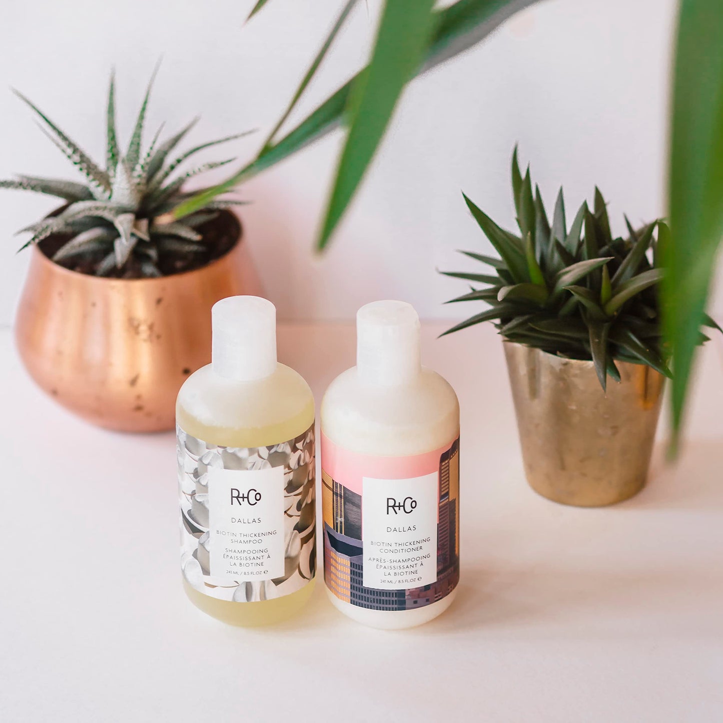 R+Co Dallas Biotin Thickening Shampoo, Conditioner, and Thickening Treatment Packet | Weightless Hydration, Strengthens + Enhances Shine | Vegan + Beauty and Personal Care R+Co