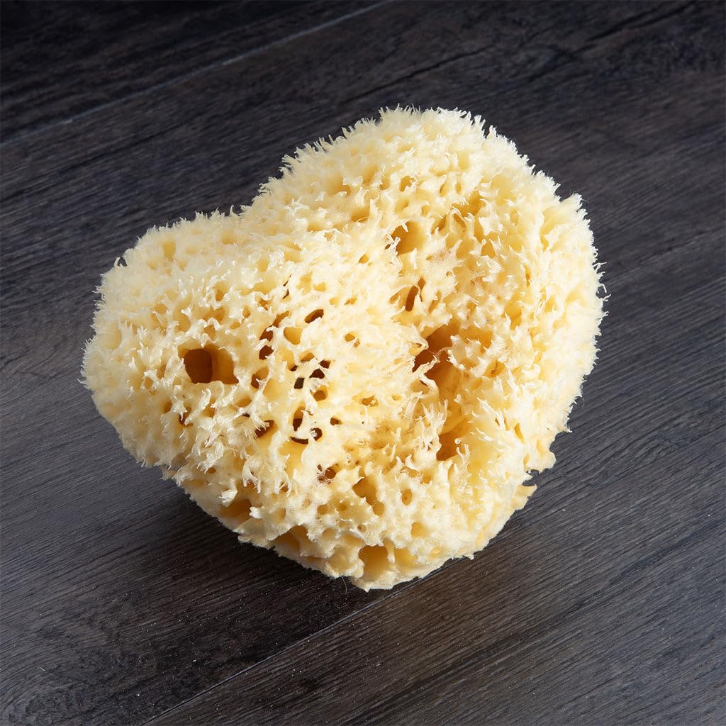 Neptune Natural Renewable Sea Wool Sponge, Hand Cut, Large, Approx. 6-7" Beauty & Personal Care Neptune Natural