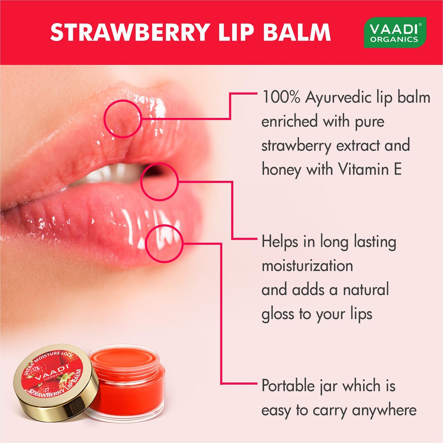 Vaadi Herbals Lip Balm, Strawberry and Honey, 10gm Beauty and Personal Care Vaadi Herbals