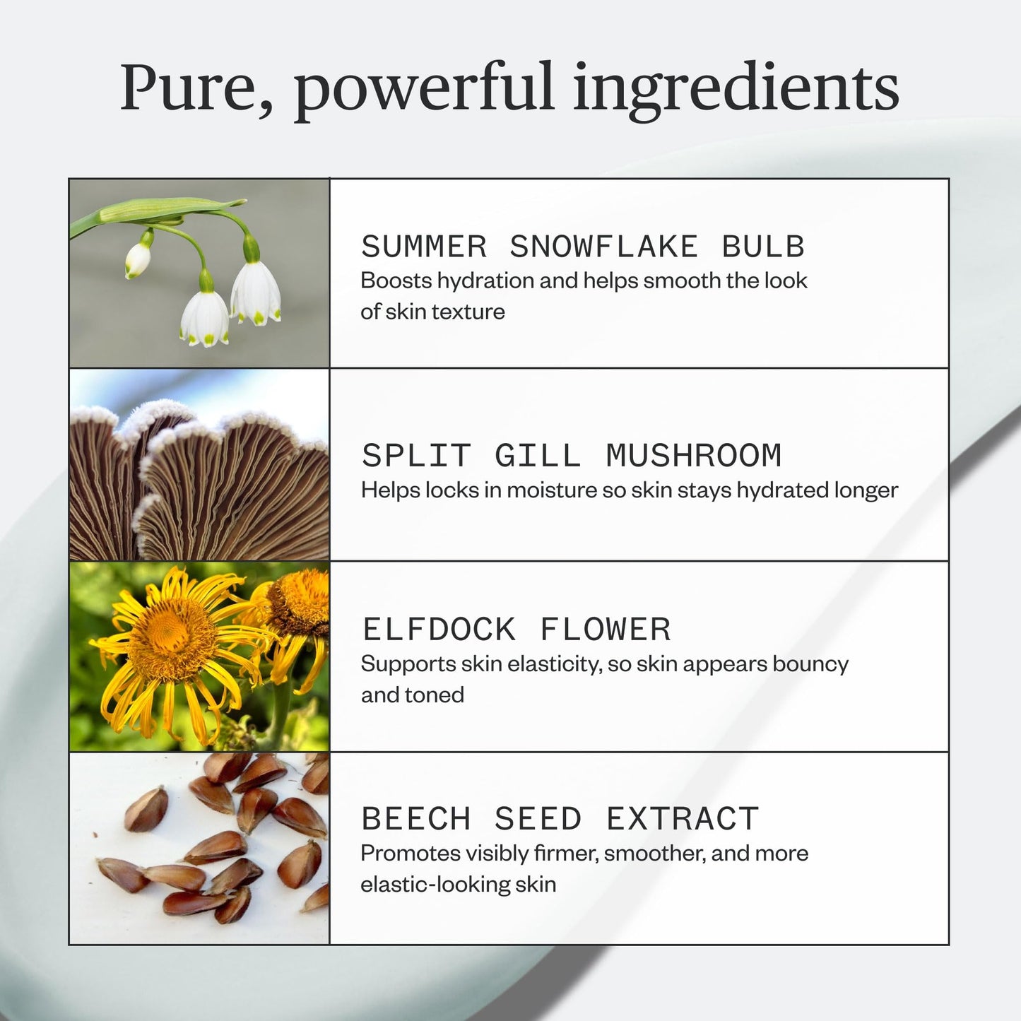 Ursa Major Vital Spring Hydration Mask | Deeply Hydrating Natural Mask| Plumps Skin’s Appearance, Boosts Firmness & Smooths Appearance of Fine Lines | Beauty & Personal Care Ursa Major