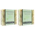Plantlife Peppermint Bar Soap Pack of 2 - Moisturizing and Soothing Soap for Your Skin - Hand Crafted Using Plant-Based Ingredients - Made in Beauty & Personal Care Plantlife