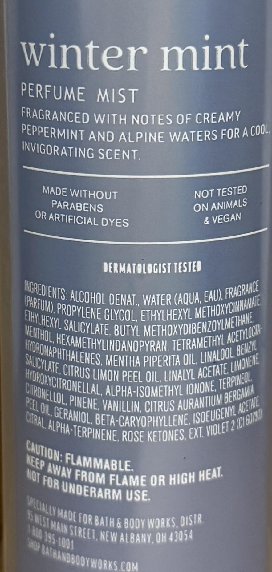 Bath & Body Works Water Winter Mint Fine Fragrance Mist 8 Ounces Beauty & Personal Care Bath & Body Works