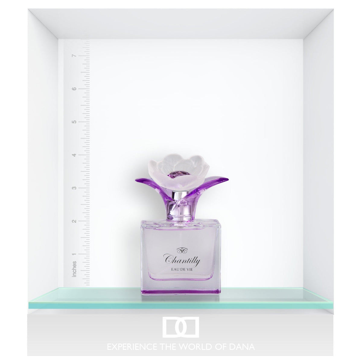 Chantilly Eau De Vie By Dana 1.7 oz Eau De Parfum Spray for Women Beauty & Personal Care Dana
