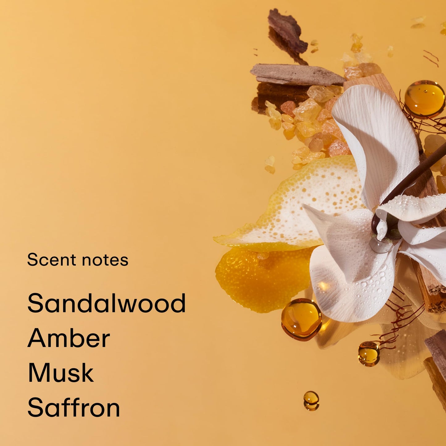 PHLUR Somebody Wood Eau de Parfum - Full Size Perfume Fragrance - Spicy Woody Perfume with Bergamot, Lemon, Cedarwood, Sandalwood, Musk & Vanilla Beauty & Personal Care PHLUR