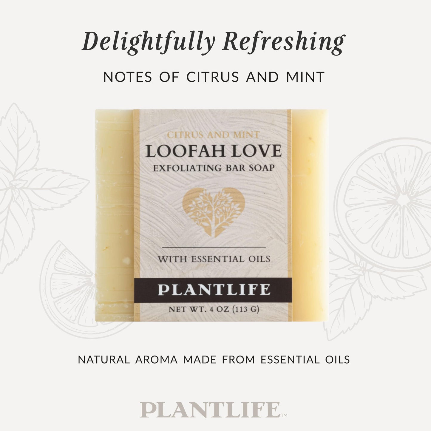 Plantlife Loofah Love Bar Soap - Moisturizing and Soothing Soap for Your Skin - Hand Crafted Using Plant-Based Ingredients - Made in California 4 oz Beauty & Personal Care Plantlife