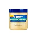 Hollywood Beauty Tea Tree & Rosemary Nourishing Scalp & Hair Balm, 8 oz - Conditions and Softens Hair Beauty & Personal Care Hollywood Beauty