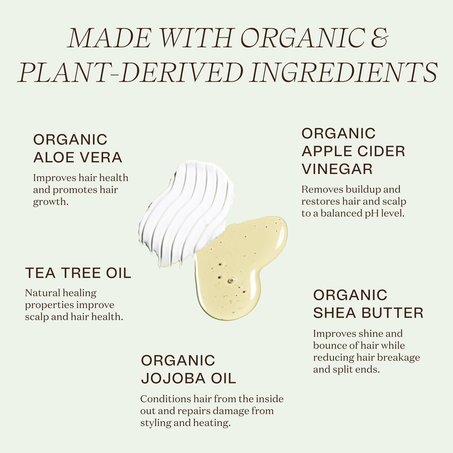 Ingreendients Non Toxic Vegan Shampoo and Conditioner with Organic Ingredients, Apple Cider Vinegar, Tea Tree Oil - Color Safe, Paraben & Gluten Free Beauty & Personal Care Ingreendients